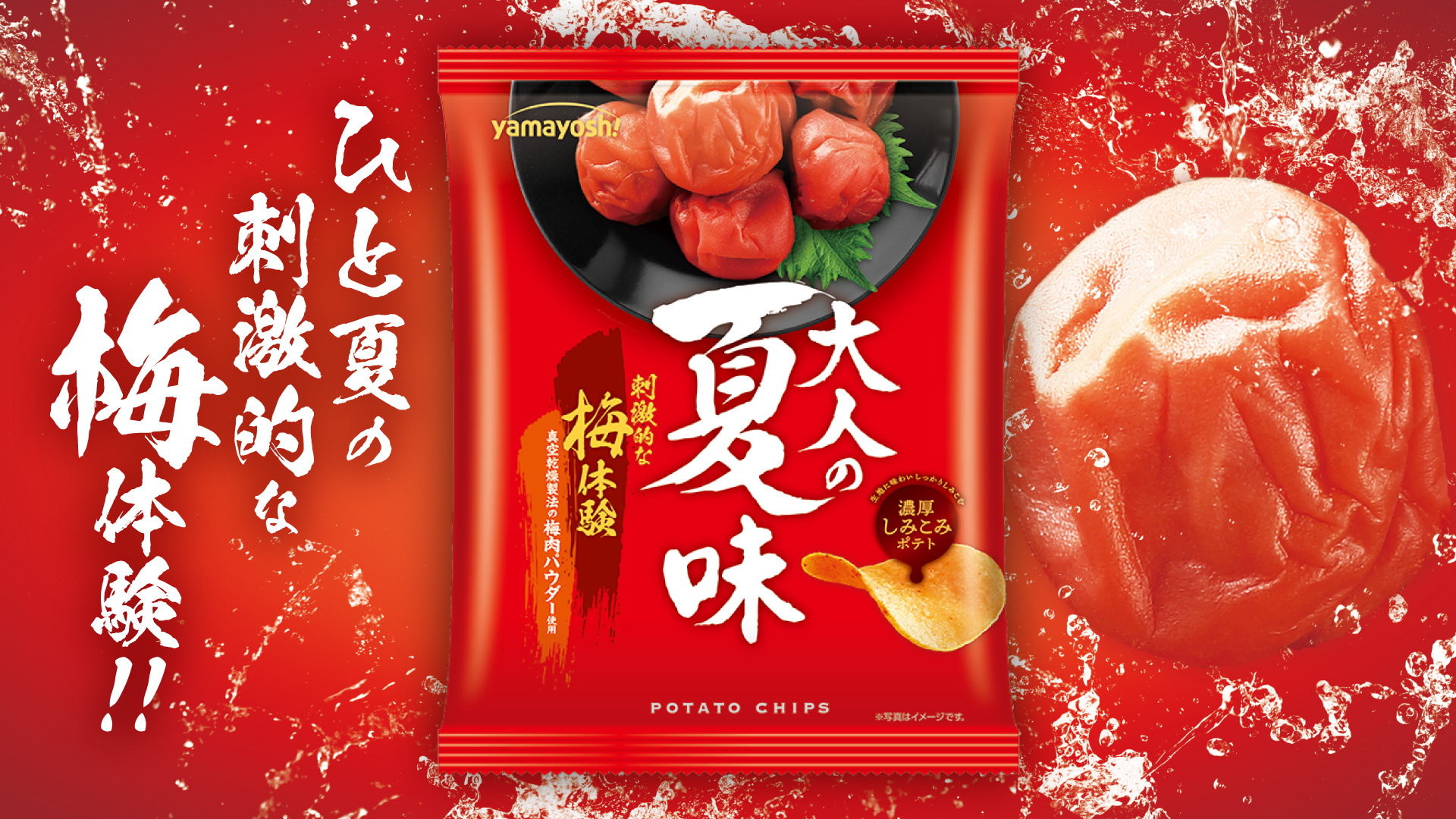 今年もやります!大人のための刺激的な濃厚梅のおいしさ! | ニュース&リリース | 山芳製菓株式会社