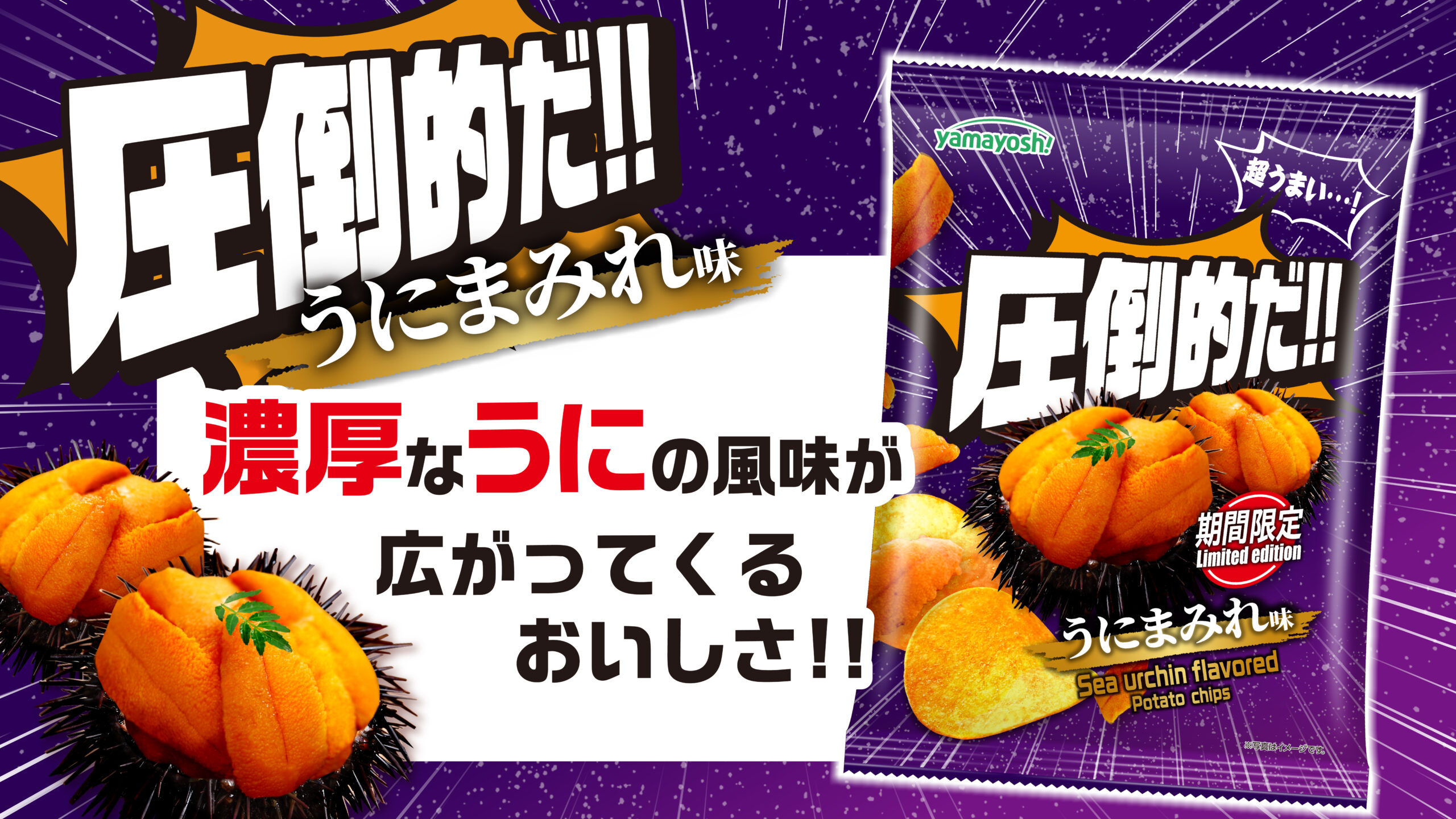 圧倒的だ!!シリーズに“うにまみれ味”が新登場!