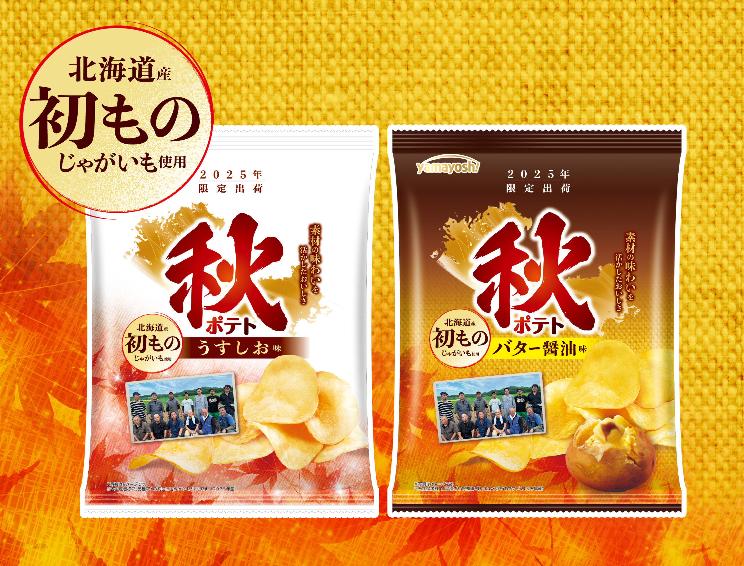 山芳製菓 わさビーフ
