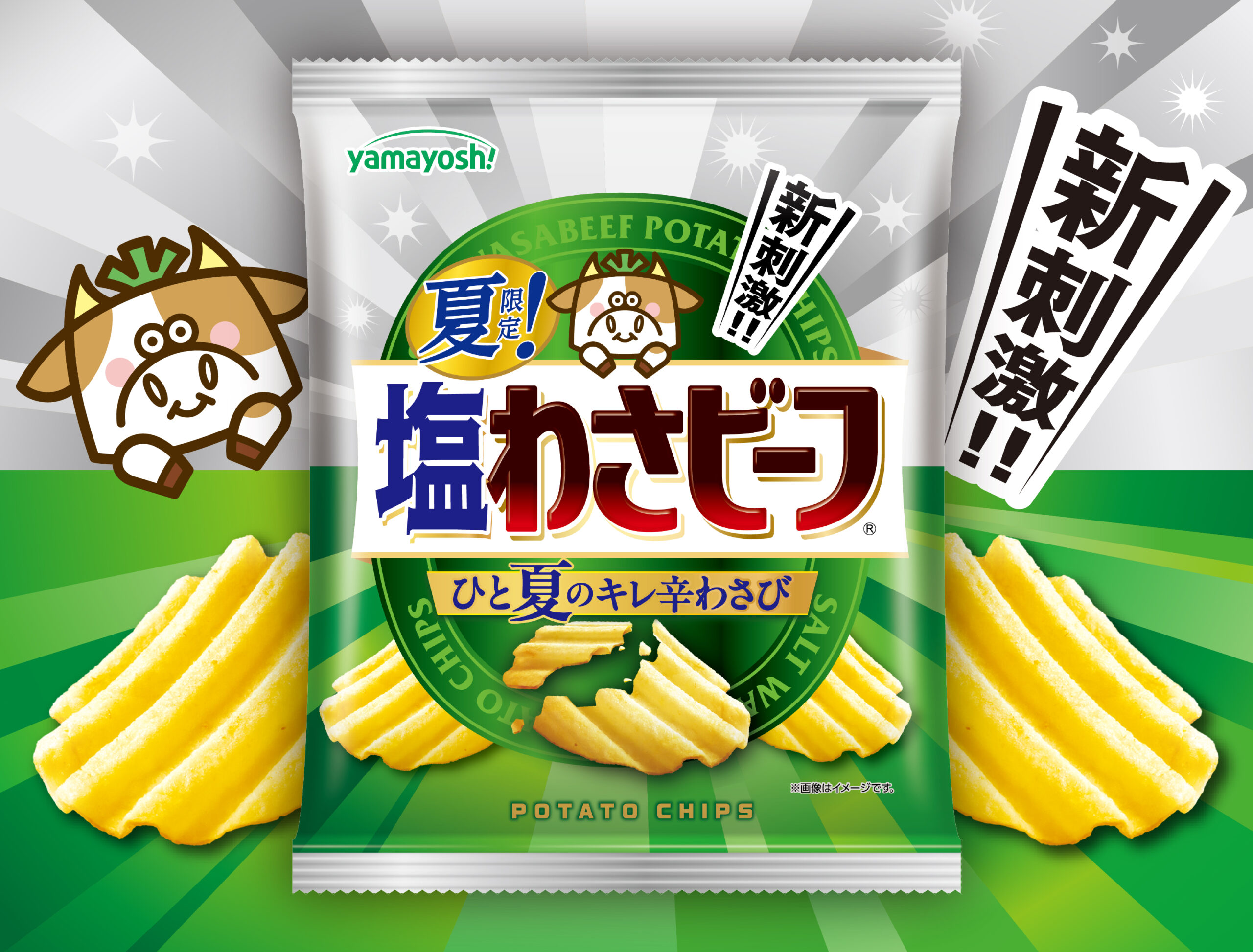 活動歴および当時の関連ビジュアル記録