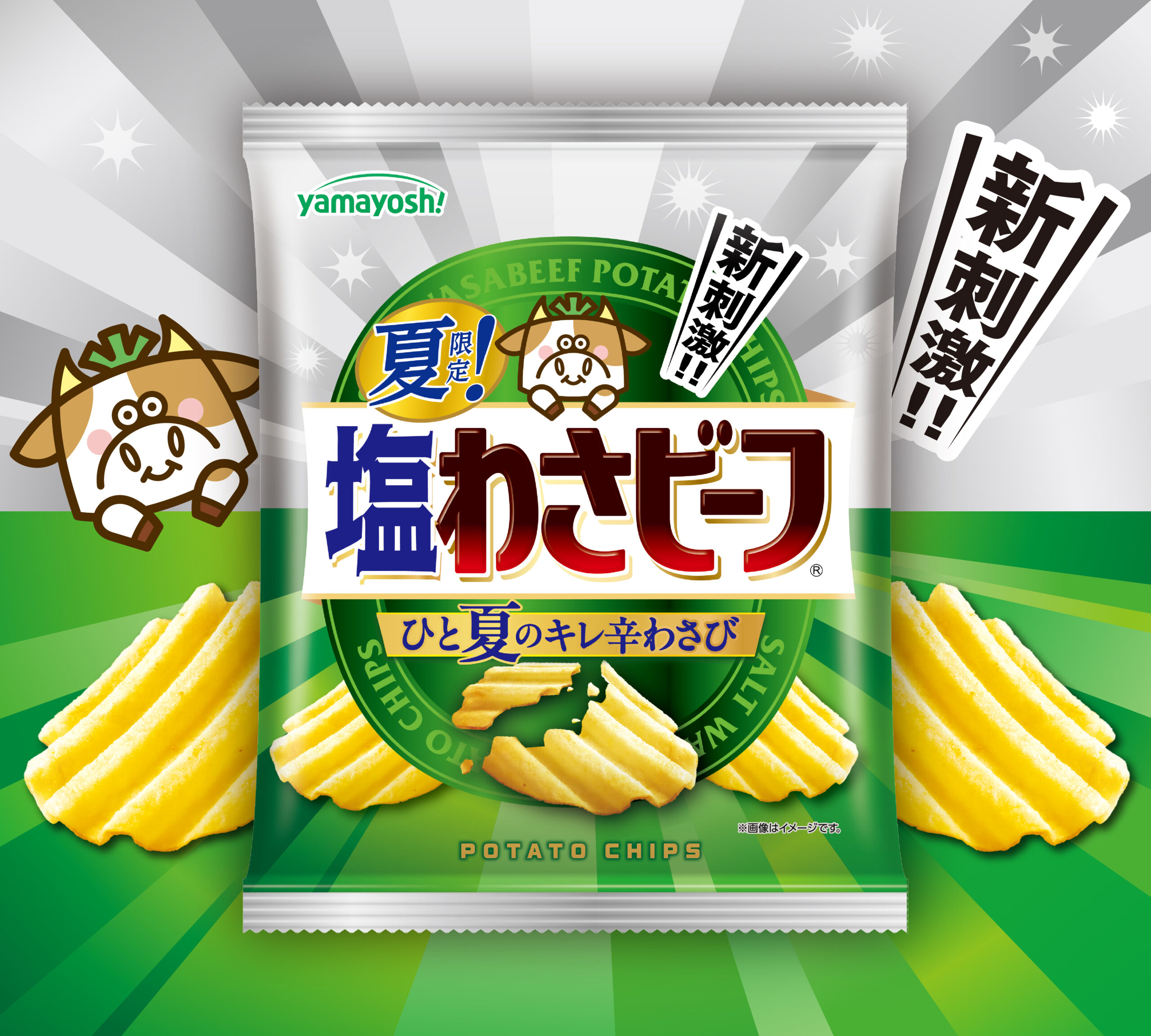 ポテトチップス 夏限定!塩わさビーフ